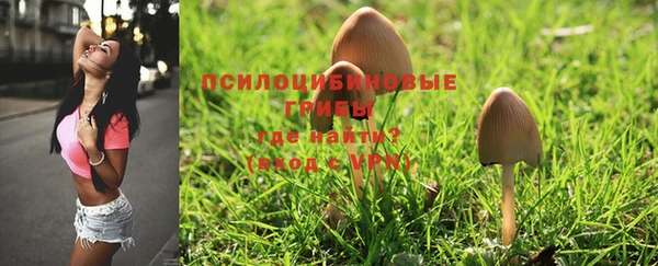 MESCALINE Володарск