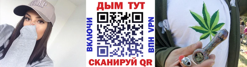 Канабис гибрид Кузнецк